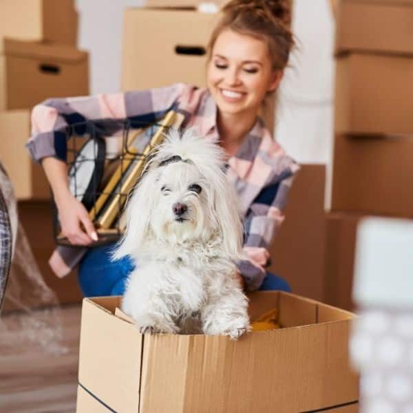 Move out cleaning service movers